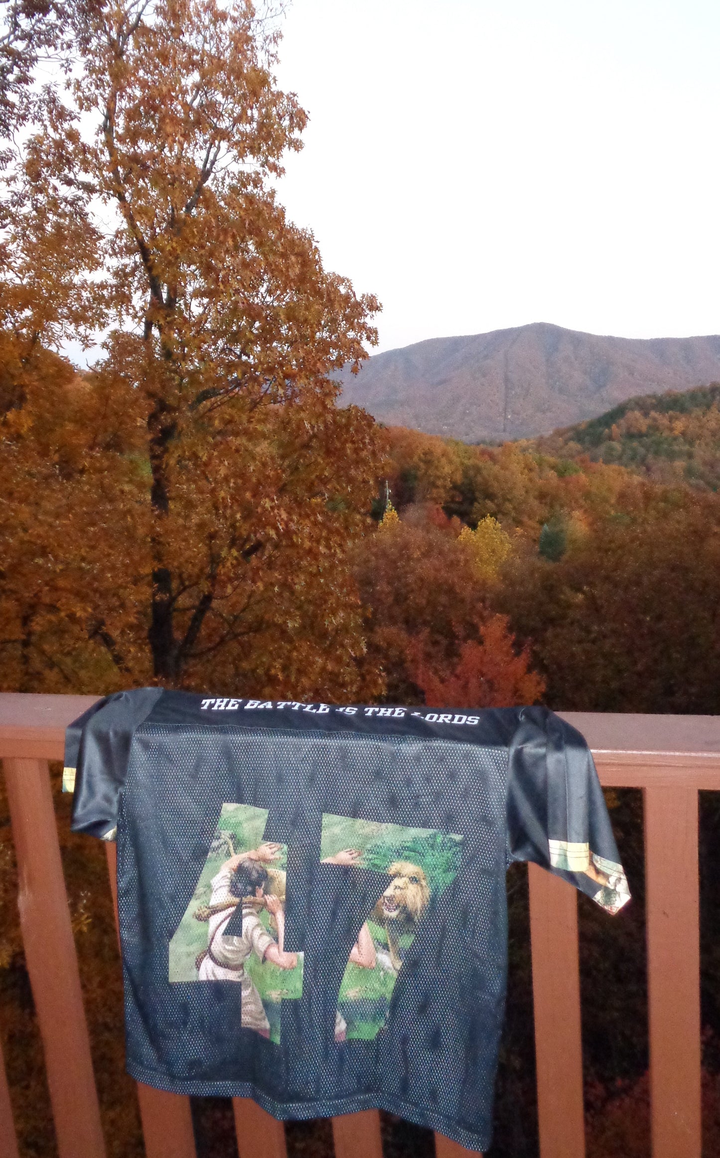 The story of David collection ￼￼